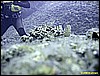IMG_3940.JPG