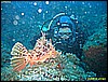 IMG_3944.JPG