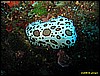IMG_3951.JPG