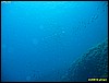 IMG_3956.JPG