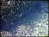 IMG_3965.JPG