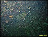 IMG_3967.JPG