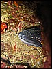 IMG_3971.JPG