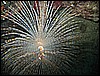IMG_3974.JPG