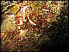 IMG_3976.JPG