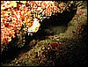 IMG_3978.JPG
