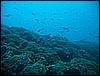 IMG_3986.JPG