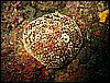 IMG_3989.JPG