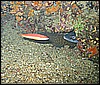 IMG_3994.JPG