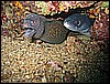 IMG_3995.JPG
