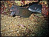 IMG_3996.JPG