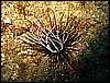 IMG_4003.JPG