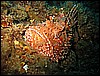 IMG_4004.JPG