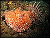 IMG_4005.JPG