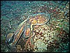 IMG_4021.JPG