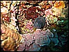 IMG_4024.JPG