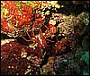 IMG_4026.JPG