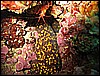 IMG_4028.JPG