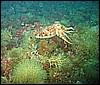 IMG_4029.JPG