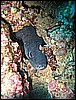 IMG_4035.JPG
