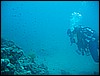 IMG_4037.JPG