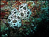 IMG_4041.JPG