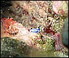 IMG_4047.JPG