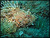 IMG_4054.JPG