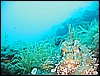 IMG_4055.JPG