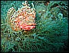 IMG_4057.JPG