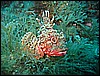IMG_4059.JPG