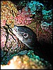 IMG_4063.JPG