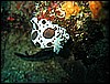 IMG_4064.JPG