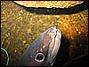 IMG_4151.JPG
