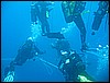 IMG_4154.JPG