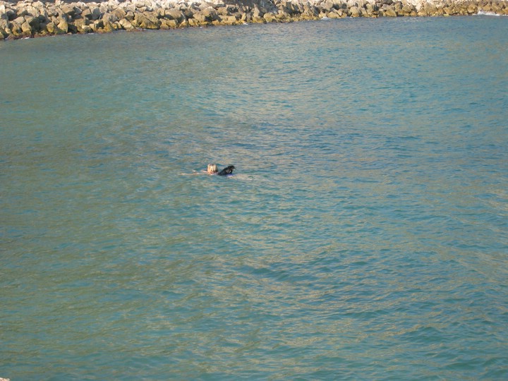 IMG_4264.JPG