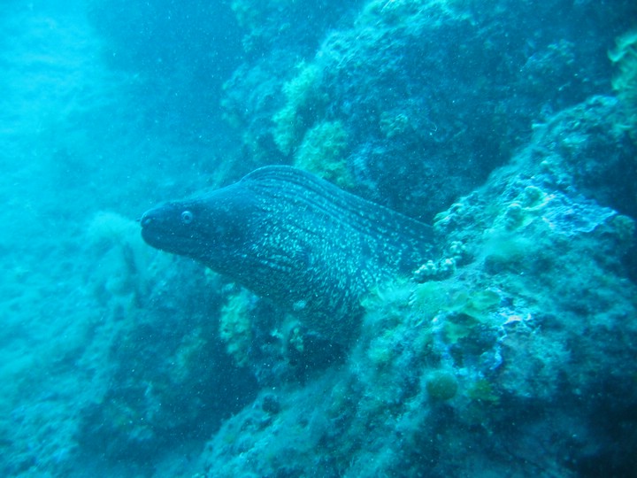 IMG_4309.JPG