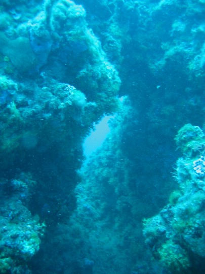 IMG_4316.JPG
