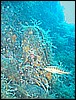 IMG_4188.JPG
