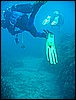 IMG_4192.JPG