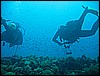 IMG_4200.JPG