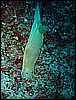 IMG_4212.JPG