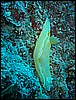 IMG_4215.JPG