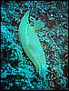IMG_4217.JPG