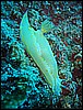 IMG_4219.JPG