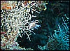 IMG_4223.JPG
