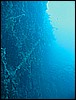 IMG_4225.JPG
