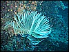 IMG_4227.JPG