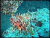 IMG_4229.JPG