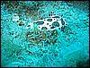 IMG_4235.JPG
